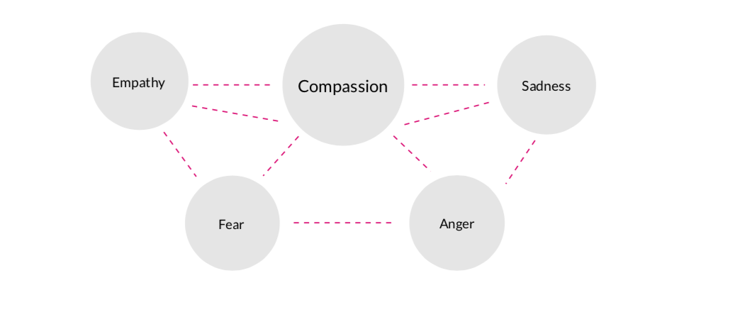 Empathy, Compassion, Sadness, Fear, Anger