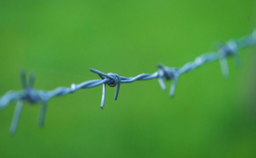 barb wire